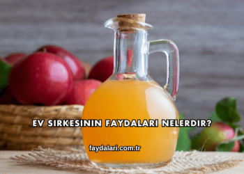 Ev Sirkesinin Faydaları Nelerdir?