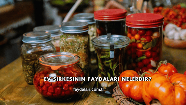 Ev Sirkesinin Faydaları Nelerdir?