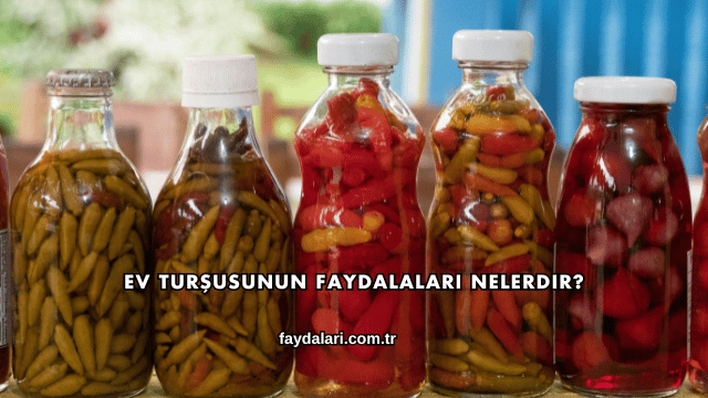 Ev Turşusunun Faydalaları Nelerdir?
