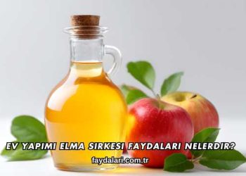 Ev Yapımı Elma Sirkesi Faydaları Nelerdir?