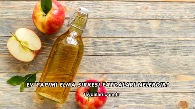 Ev Yapımı Elma Sirkesi Faydaları Nelerdir?