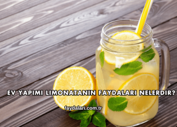 Ev Yapımı Limonatanın Faydaları Nelerdir?