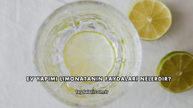 Ev Yapımı Limonatanın Faydaları Nelerdir?