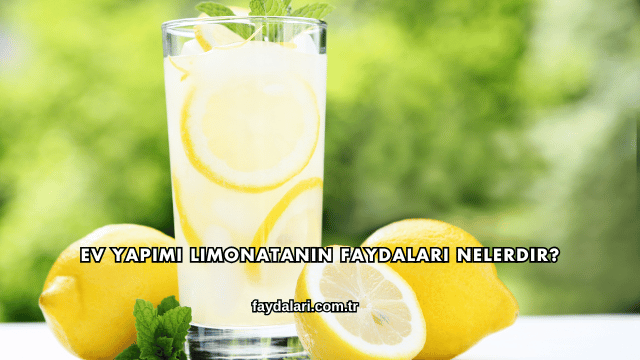 Ev Yapımı Limonatanın Faydaları Nelerdir?
