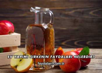 Ev Yapımı Sirkenin Faydaları Nelerdir?