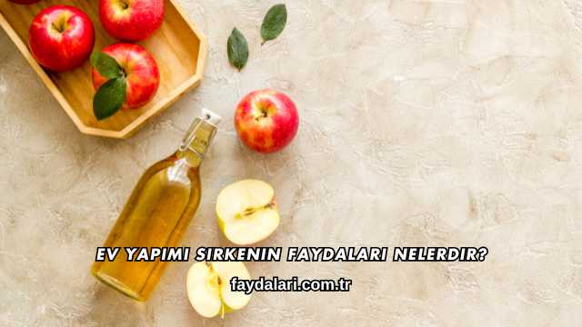 Ev Yapımı Sirkenin Faydaları Nelerdir?