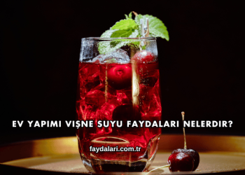 Ev Yapımı Vişne Suyu Faydaları Nelerdir?