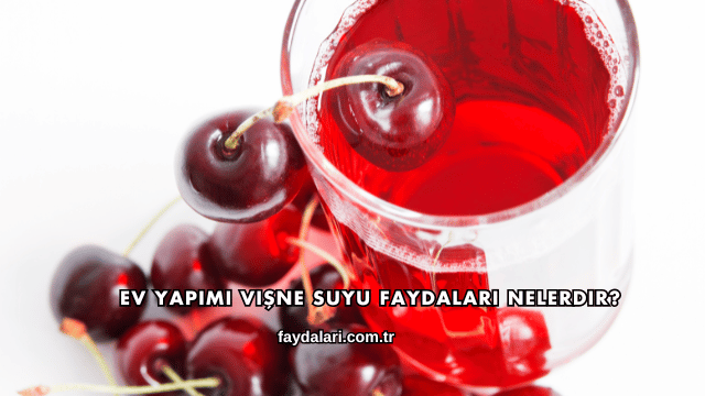 Ev Yapımı Vişne Suyu Faydaları Nelerdir?