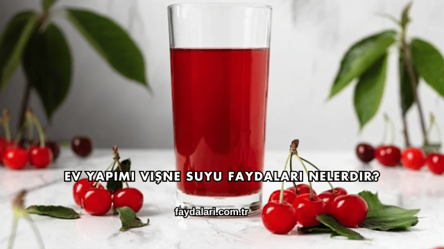 Ev Yapımı Vişne Suyu Faydaları Nelerdir?