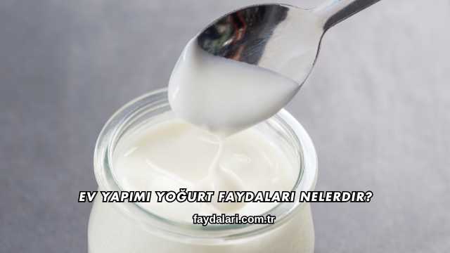 Ev Yapımı Yoğurt Faydaları Nelerdir?