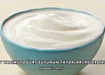 Ev Yapımı Yoğurt Suyunun Faydaları Nelerdir?