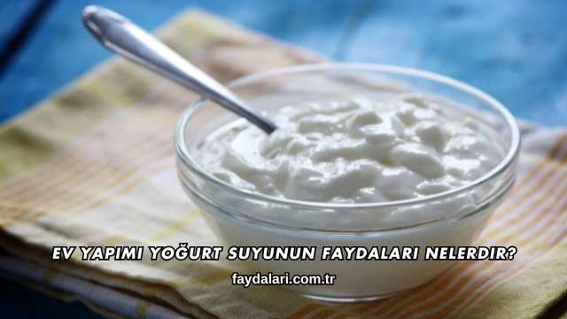 Ev Yapımı Yoğurt Suyunun Faydaları Nelerdir?