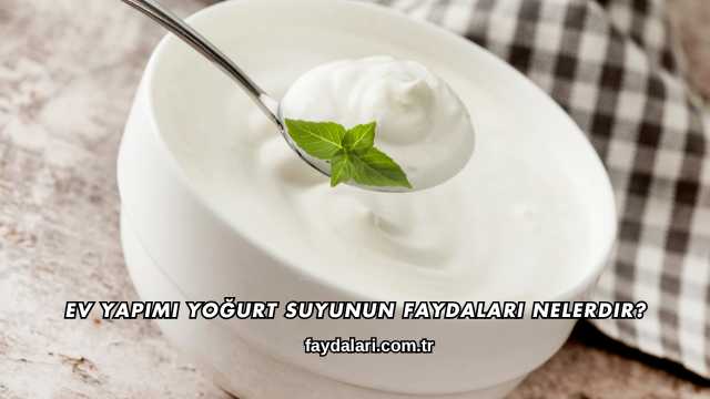 Ev Yapımı Yoğurt Suyunun Faydaları Nelerdir?