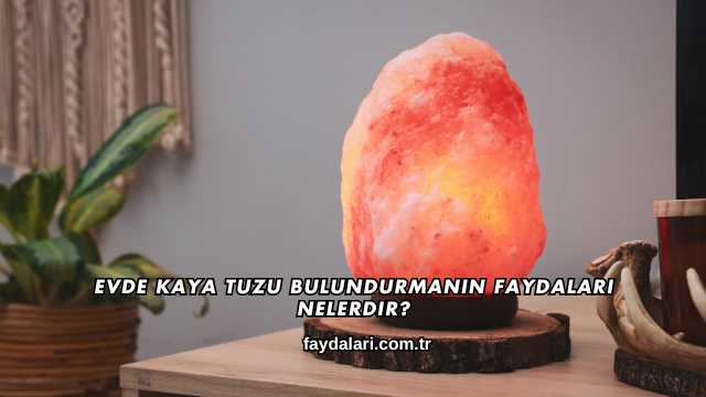 Evde Kaya Tuzu Bulundurmanın Faydaları Nelerdir?