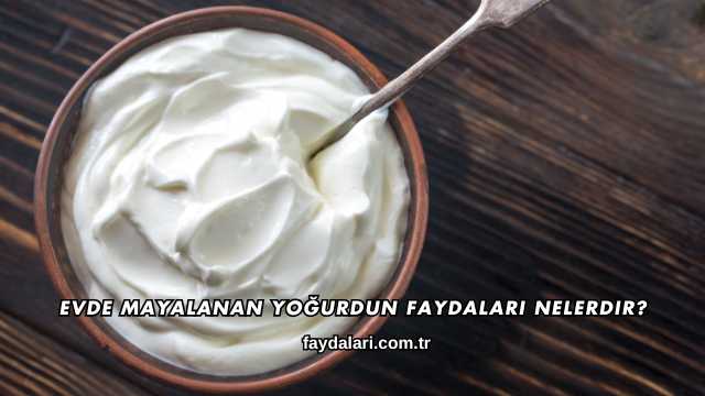 Evde Mayalanan Yoğurdun Faydaları Nelerdir?