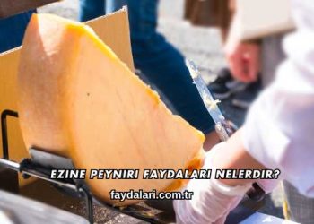 Ezine Peyniri Faydaları Nelerdir?