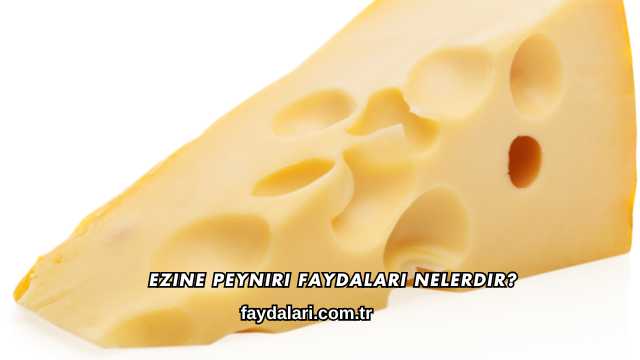 Ezine Peyniri Faydaları Nelerdir?