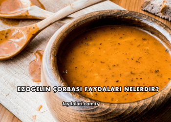 Ezogelin Çorbası Faydaları Nelerdir?