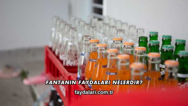 Fantanın Faydaları Nelerdir?