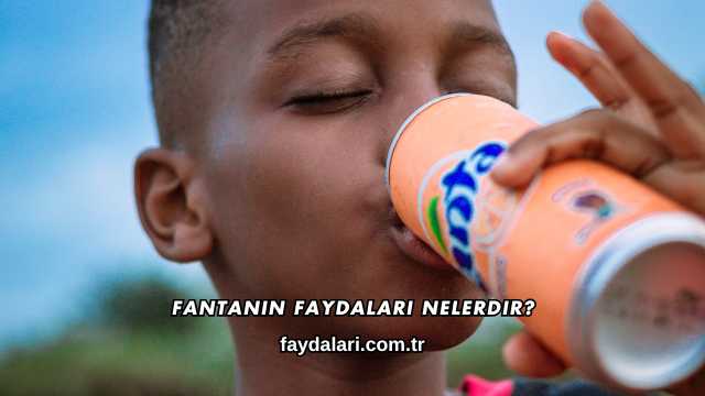 Fantanın Faydaları Nelerdir?