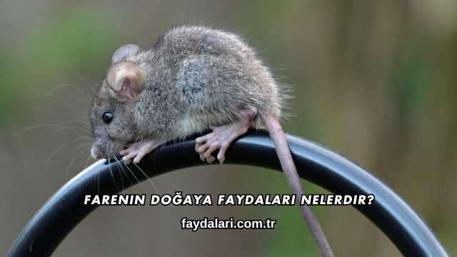 Farenin Doğaya Faydaları Nelerdir?