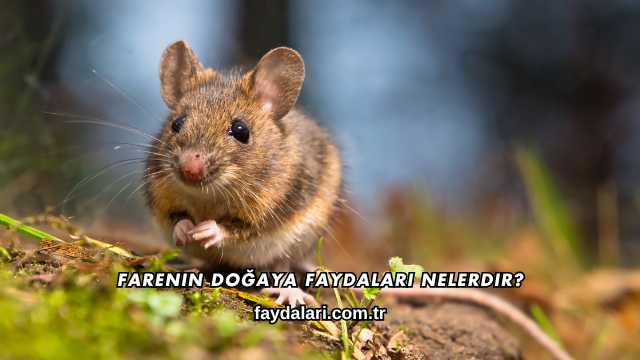 Farenin Doğaya Faydaları Nelerdir?