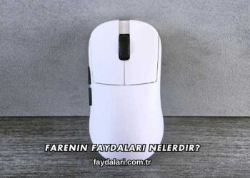 Farenin Faydaları Nelerdir?