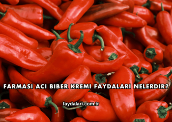 Farmasi Acı Biber Kremi Faydaları Nelerdir?