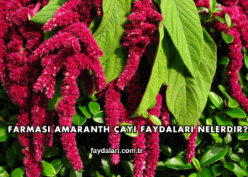 Farmasi Amaranth Çayı Faydaları Nelerdir?