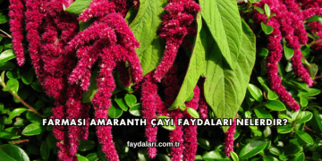 Farmasi Amaranth Çayı Faydaları Nelerdir?