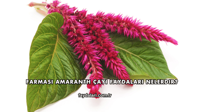 Farmasi Amaranth Çayı Faydaları Nelerdir?