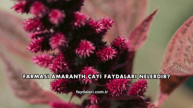 Farmasi Amaranth Çayı Faydaları Nelerdir?