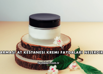 Farmasi At Kestanesi Kremi Faydaları Nelerdir?