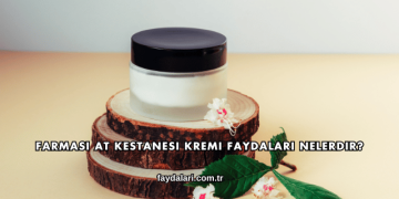 Farmasi At Kestanesi Kremi Faydaları Nelerdir?
