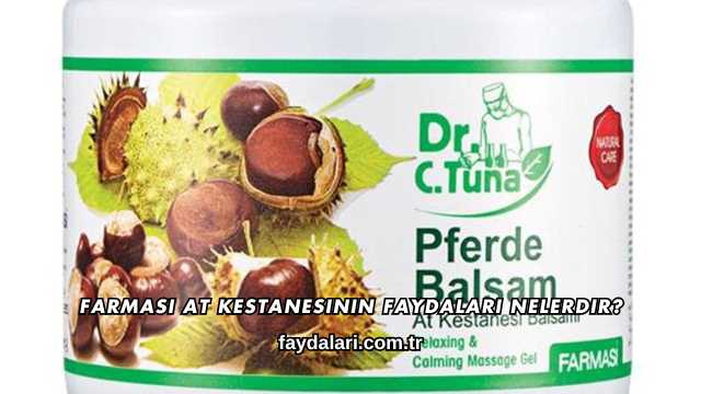 Farmasi At Kestanesinin Faydaları Nelerdir?