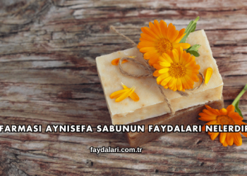 Farmasi Aynısefa Sabunun Faydaları Nelerdir?