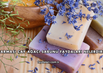 Farmasi Çay Ağacı Sabunu Faydaları Nelerdir?