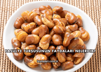 Fasulye Turşusunun Faydaları Nelerdir?