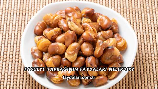 Fasulye Yaprağının Faydaları Nelerdir?