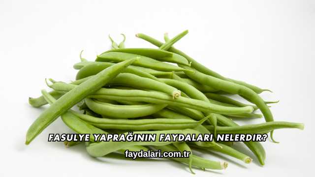 Fasulye Yaprağının Faydaları Nelerdir?