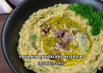Favanın Faydaları Nelerdir?