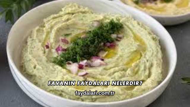 Favanın Faydaları Nelerdir?