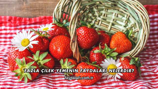 Fazla Çilek Yemenin Faydaları Nelerdir?