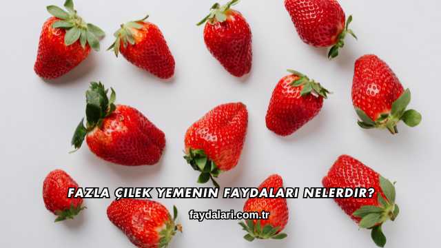 Fazla Çilek Yemenin Faydaları Nelerdir?