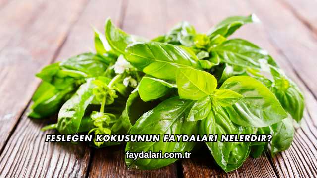 Fesleğen Kokusunun Faydaları Nelerdir?