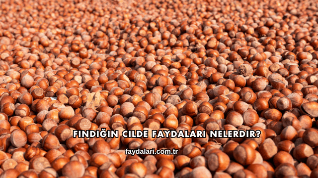 Fındığın Cilde Faydaları Nelerdir?