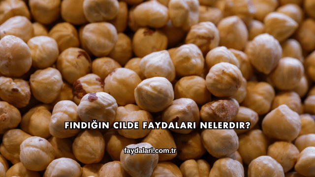 Fındığın Cilde Faydaları Nelerdir?