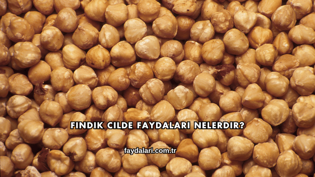 Fındık Cilde Faydaları Nelerdir?