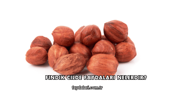 Fındık Cilde Faydaları Nelerdir?