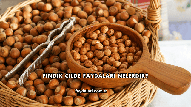 Fındık Cilde Faydaları Nelerdir?